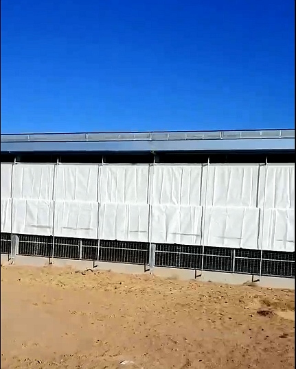 91香蕉下载污片卷帘 91香蕉下载污片卷帘
